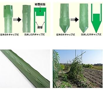 ちいぼ パイプバンパー Amazon | シンセイ 園芸支柱 イボ付 内キャップ式 20Φ×2100mm 50